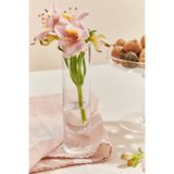 Paşabahçe Mini Silindir Vazo, Şeffaf, 15 cm Yükseklik