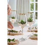 Paşabahçe Napa Golden Touch Şampanya Kadehi 360 Cc, Şampanya Kadehi, 1 Adet - Altın