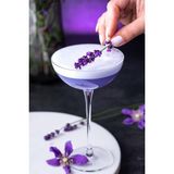 Paşabahçe Nude Savage 6 lı Coupetini Kadeh Seti1112794 67286 170 cc - Şeffaf