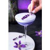 Paşabahçe Nude Savage 6 Lı Coupetini Kadeh Seti1112794 67286 170 Cc