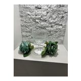 Pasabahce YENİ 440455 Elysia Magnolia Sunum Bardağı 260cc - 4 Adet 8526965420455AYBABASTORE