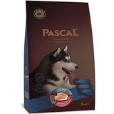 Pascal 3 KG Somonlu Yetişkin Köpek Maması