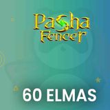 Pasha Fencer 60 Elmas