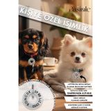 pasiole Çelik Köpek Künyesi, Köpek Isimlik, Köpek Kedi Tasması, Köpek Kedi Madalyonu