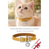 pasiole Kedi-köpek Boyun Tasması İsimlik Hediyeli Ayarlanabilir Kedi & Küçük Irk Köpek Boyun Tasması Sarı