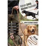 pasiole Köpek Gezdirme Kayışı – Dayanıklı Deri, Büyük & Orta Irk İçin Sağlam Köpek Gezdirme Tasması