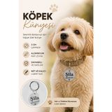 pasiole Metal Köpek Künyesi, Deri Köpek Isimlik, Köpek Kedi Tasması, Köpek Madalyonu - 2.görseli okuyunuz.