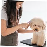 Paslanmaz Çelik Kedi Köpek Tüy Kesme ve Kulak Bakım Makası