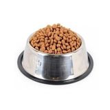 Paslanmaz Çelik Mama Kabı Kedi Köpek Metal Mama Su Kabı 500 ml (Gümüş)