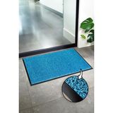 Paspas Yap Iç ve Dış Mekan Kıvırcık Paspas Suya Dayanıklı Kauçuk Kenarlı Dış Kapı Paspas - Turkuaz - 100 x 800 cm