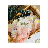Pass Pano 10’lu Fiyonklu Kartlı İstiridye Bebek Magneti – Mevlüt & Baby Shower İçin Şık Hediyelik Set