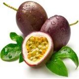 Passiflora Tohumu Ekim Seti 3 Tohum Pasiflora +Saksı+Toprak