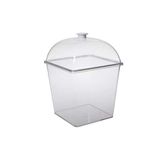 Pasta Derin -Kek Fanusu