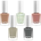 Pastel 314-296-293-317-315 Oje Set