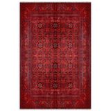 Pastel Home Bordo Kırmızı Afgan Türkmen Şönil Halı Kilim Yolluk Yıkanabilir Kaymaz Taban Salon Mutfak Saçaklı