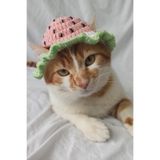 Pastel Karpuz Meyve Bucket Şapka Örgü Kedi Köpek Şapkası Evcil Hayvan Şapkası Pet Aksesuarları