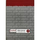 Pastel Otokopili Gider Pusulası