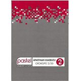 Pastel Paper Craft Apartman Makbuzu 14x20 Cm Otokopili 2 Nüsha 2/50