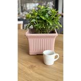 Pastel Pembe Ova Balkon Saksı No:2 – 41X16 cm Dikdörtgen Plastik Saksı