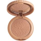 Pastel Pretty Cheeks Allık No:14 - Şeftali Pembe Renk, Yumuşak ve İpeksi Doku, Mikronize Toz, Işıltılı, Tüm Cilt Tiplerine Uygun