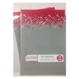 Pastel Sevk Irsaliyesi 3 Nüsha 2/50 Otokopili 1 Adet