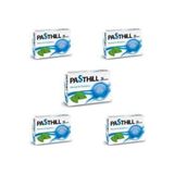 Pasthill Mentol Okaliptus 5x24 Pastil