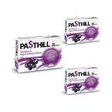 Pasthill Sambucus Nigra Beta Glukan 3x24 Pastil