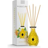 Patchouli Citrus Çubuklu Oda Parfümü 110 ml