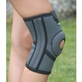 Patella ve Ligament destekli dizlik