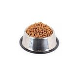 Pati Desenli Çelik Mama Kabı Kedi Köpek Metal Mama Su Kabı 18 cm (Gümüş)