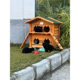 Pati Emlak 4'Lü Ahşap Kedi Evi (Dış Ortam) - Ahşap Rengi