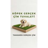 pati nefes Köpek Canlı Çim Tuvaleti