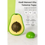 Pati Paw Avokado Kedi Nanesi Otu Catnip Doğal Ve Yenilebilir Yapışkanlı Kedi Oyuncağı