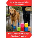 #Patibandaj Esnek Yara Koruyucu Bakım Su Geçirmez Kendinden Yapışkanlı Kedi Köpek Pati Bandajı Veteriner Sargı Bandı Ela