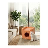 Patiderm Paris Kedi Evi Somon