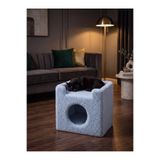Patiderm Paris Kedi Evi