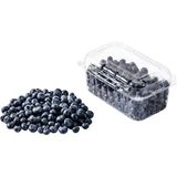 Patika Bluberry Yaban Mersini Yeni Hasat 1 kg