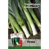 Patika Botanik 1.000 Adet Inegöl Pırasa Tohumu