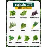 Patika Botanik 10 Çeşit Yeşillik Tohum Paketi 3000+ Tohum