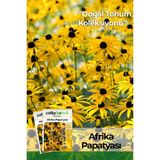 Patika Botanik 100 Adet Afrika Papatyası (Rudbeckia) Çiçek Tohumu - 1 Paket