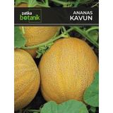 Patika Botanik 100 Adet Ananas Kavun Tohumu