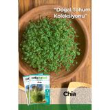 Patika Botanik 100 Adet Chia Tohumu