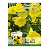 Patika Botanik 100 Adet Ezan Çiçeği Tohumu (Oenothera)