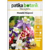 Patika Botanik 100 Adet Haseki Küpesi Çiçek Tohumu