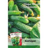 Patika Botanik 100 Adet Kornişon Salatalık Tohumu( Turşuluk) - 1 Paket