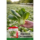 Patika Botanik 100 Adet Pak Choi / Çin Lahanası Tohumu