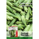 Patika Botanik 100 Adet Sultani Bamya Tohumu - 1 Paket