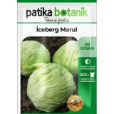 Patika Botanik 1000 Adet Göbek İceberg Marul Tohumu