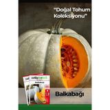 Patika Botanik 12 Adet Yerli Ata Balkabağı Tohumu - 1 Paket