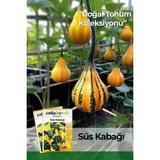 Patika Botanik 15 Adet Süs Kabağı Tohumu - 1 Paket